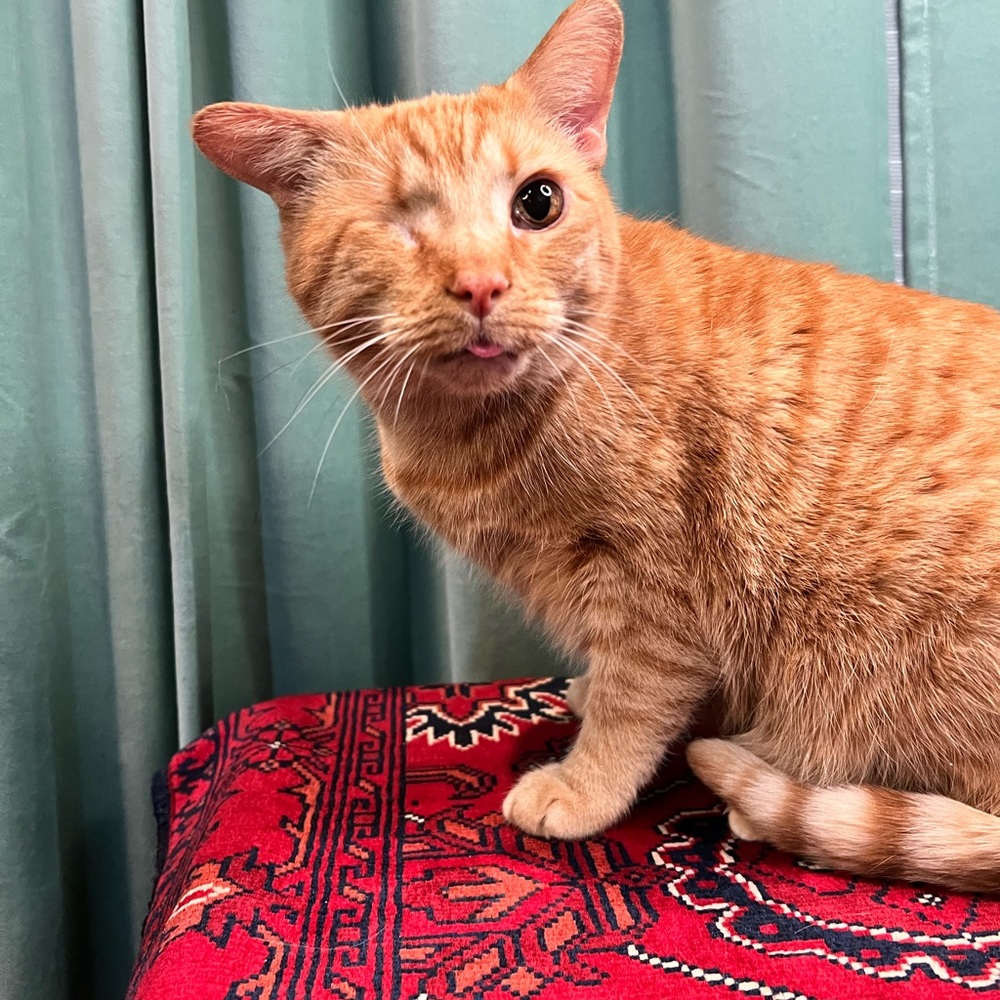 Well, fancy seeing you here!